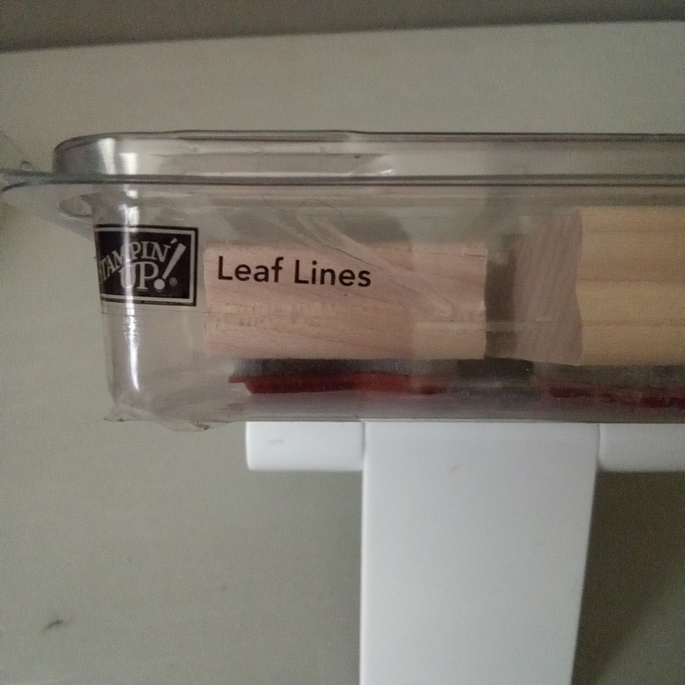 Used Stampin Up! "LEAF LINES" Wood Mounted Stamps - Picture 3 of 4